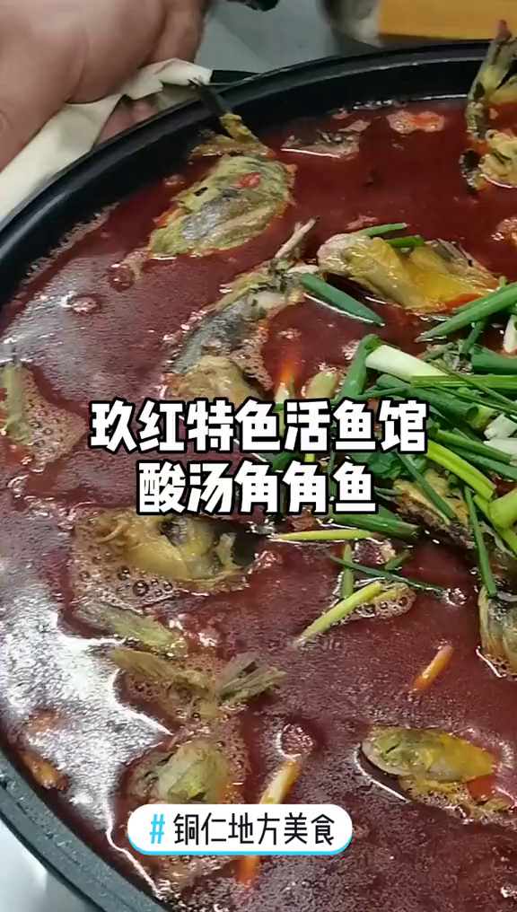 铜仁人爱吃角角鱼,那么这家绝对是不可错过的