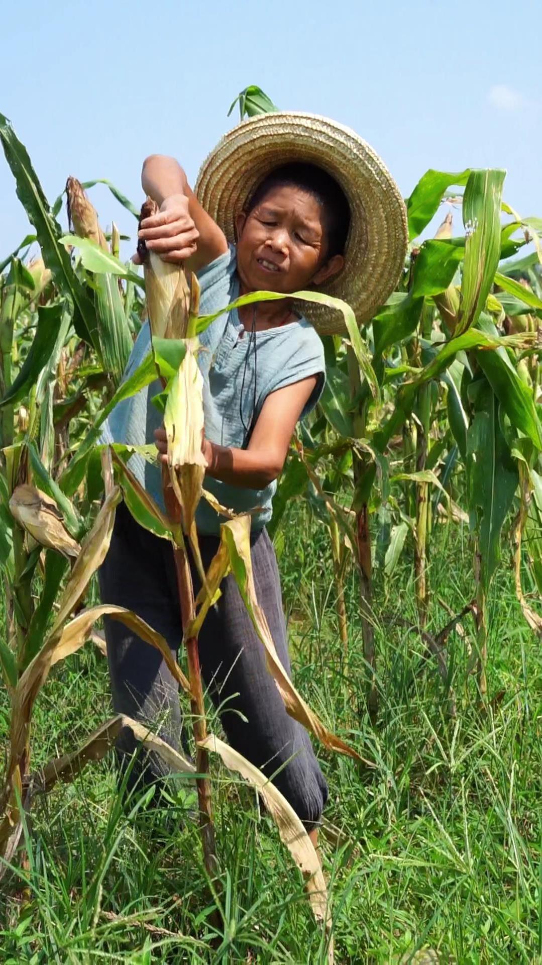 摘回来老玉米打成粉,做了生日蛋糕