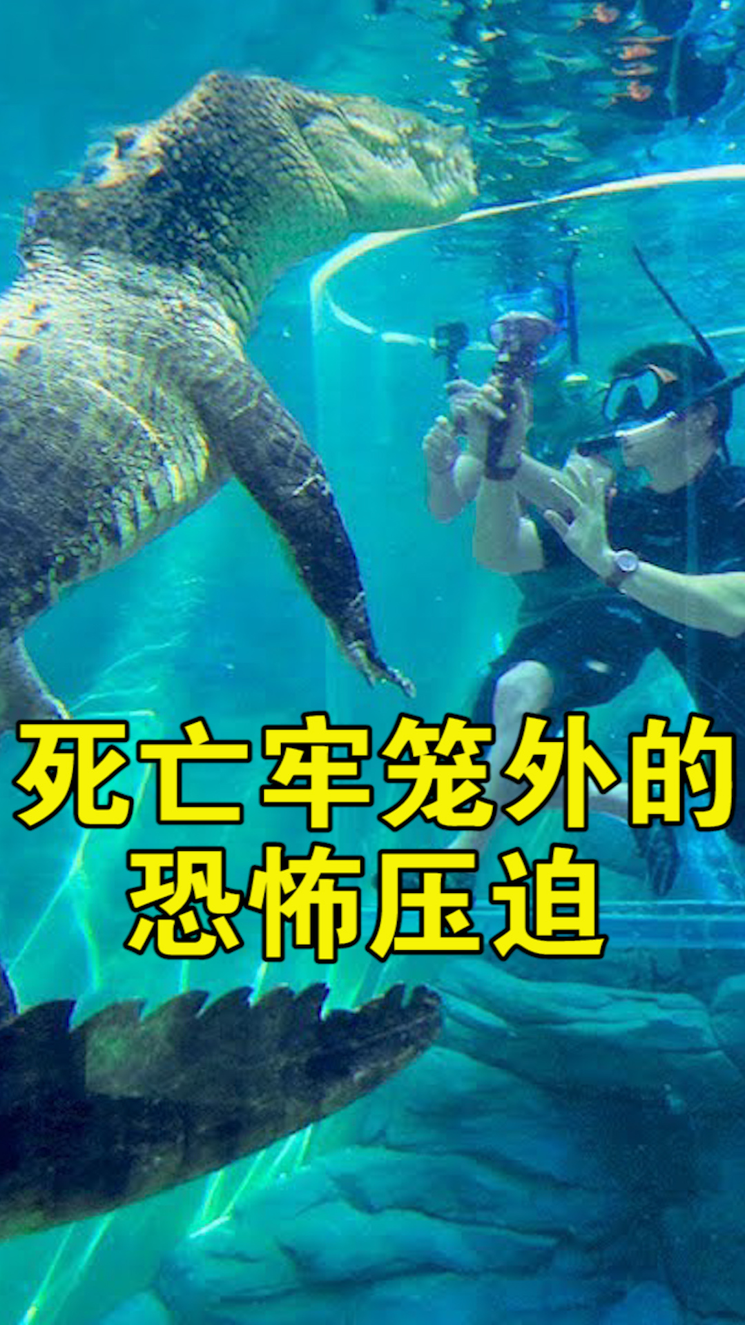 纪录片:狼叔零距离观看巨型鳄鱼进食,死亡牢笼外的恐怖压迫感!