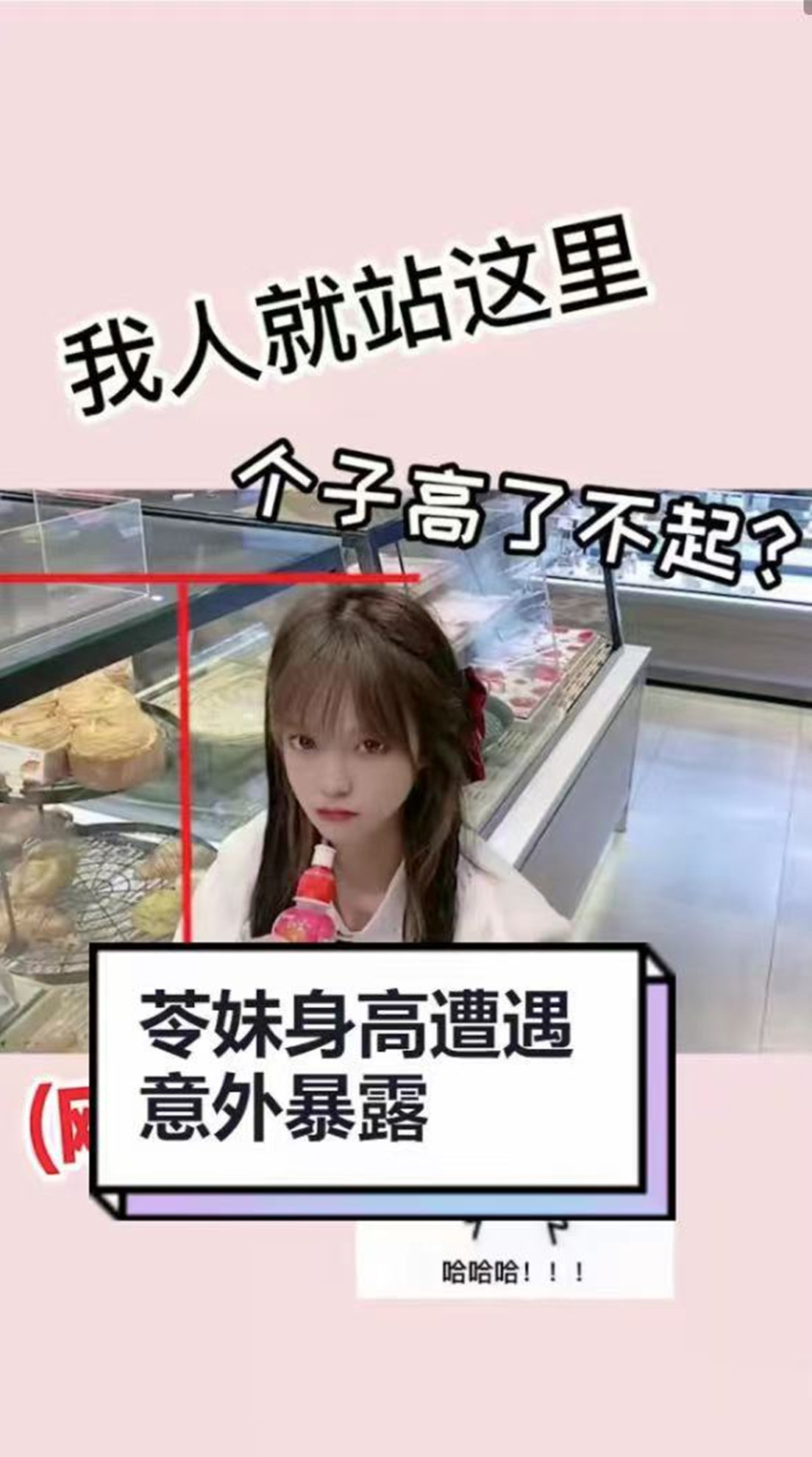 问一下蛋糕柜多高呀?我妹妹也就和它五五开吧