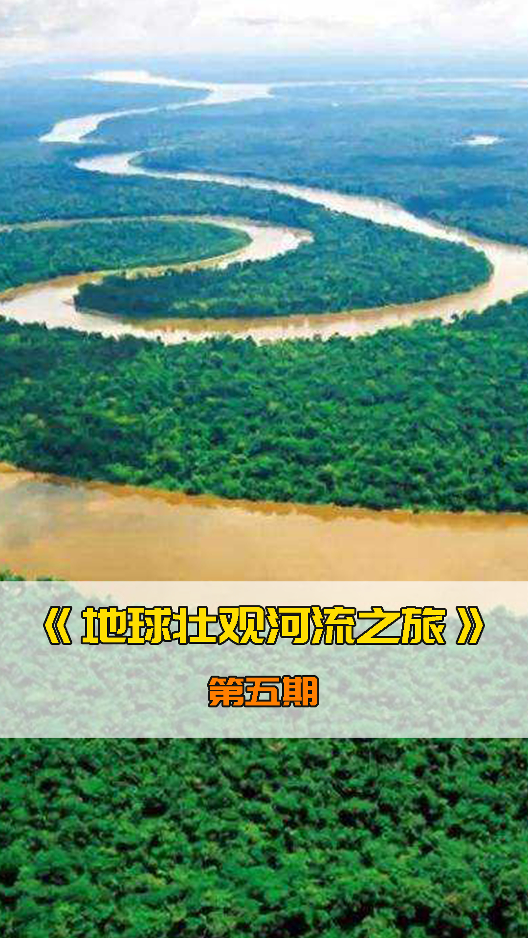 勇敢的丽鱼父母,为了保护孩子赶走捕食者