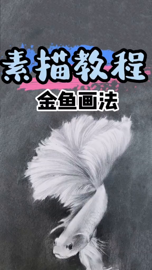 金鱼素描金鱼零基础学素描零基础学画画