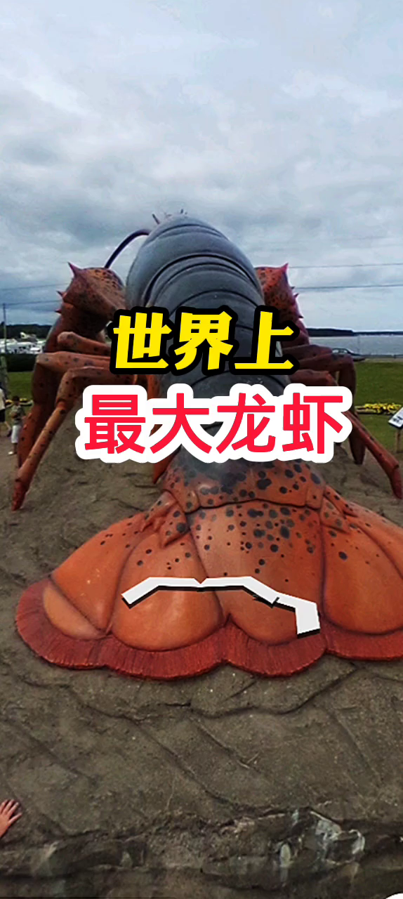 创作者学习中心龙虾吉尼斯纪录高清卫星看世界