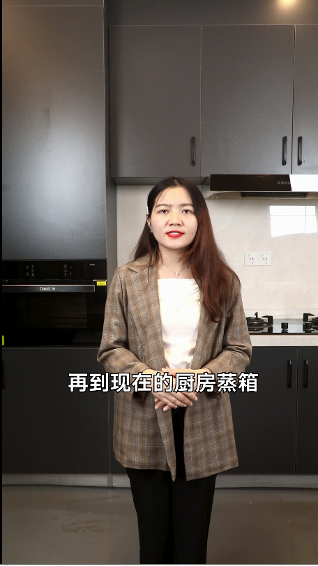 厨房蒸箱的选购技巧大全