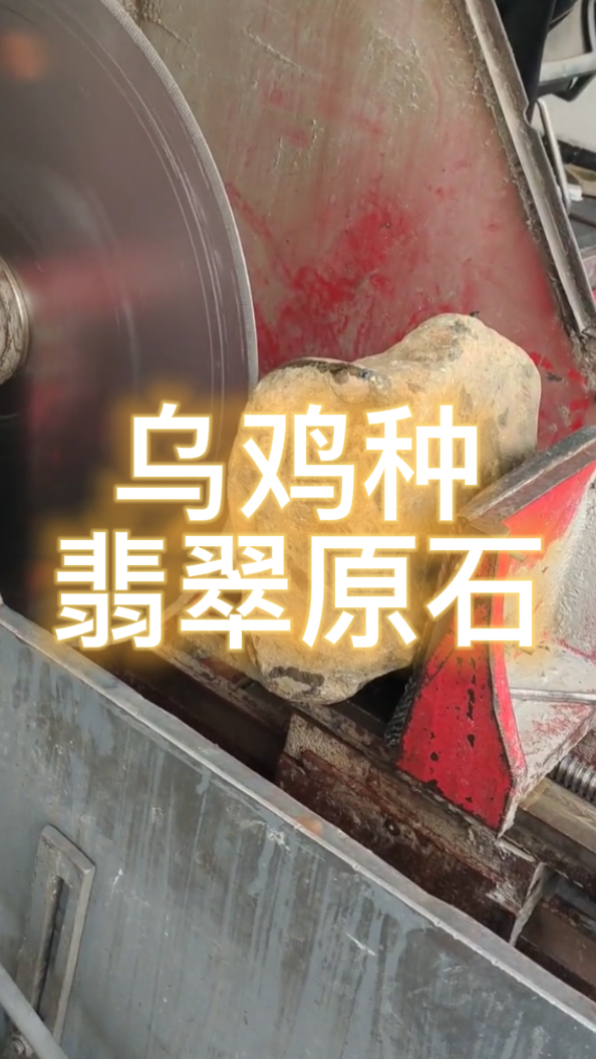 乌鸡种翡翠原石现场开切,可以拿来制作犀牛又或者是大象雕件的一块小料!