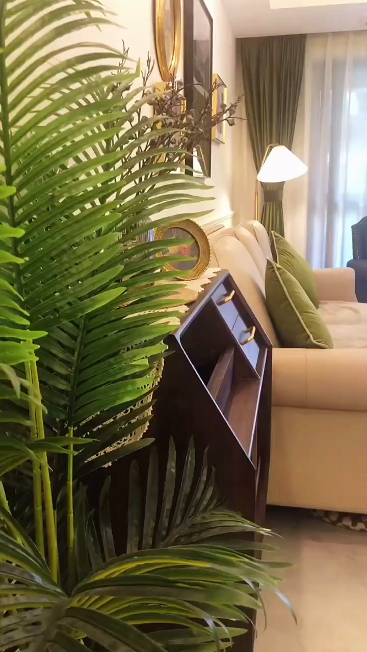 家里的植物不能乱养,看完这个视频你就学会养什么植物啦