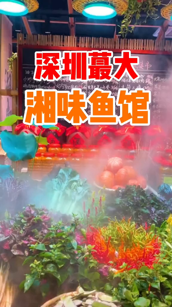 深圳最大湘味鱼馆,超多特色菜品食物新鲜档次高端美食