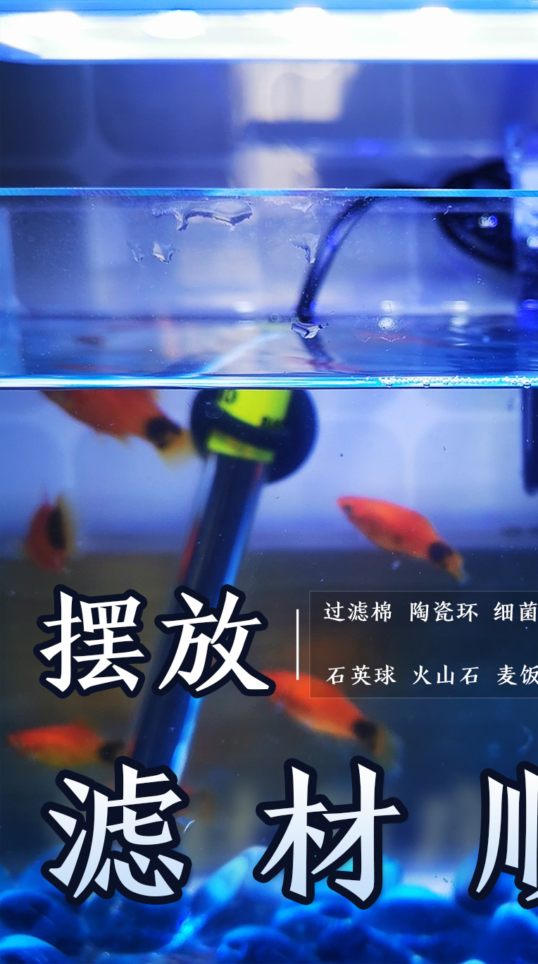 新手养鱼,先看懂滤材,摆放顺序很重要