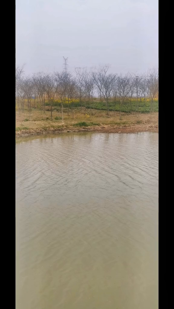 点开头像分享更多钓鱼小技巧,喜欢钓鱼的朋友双击评论野钓(6)