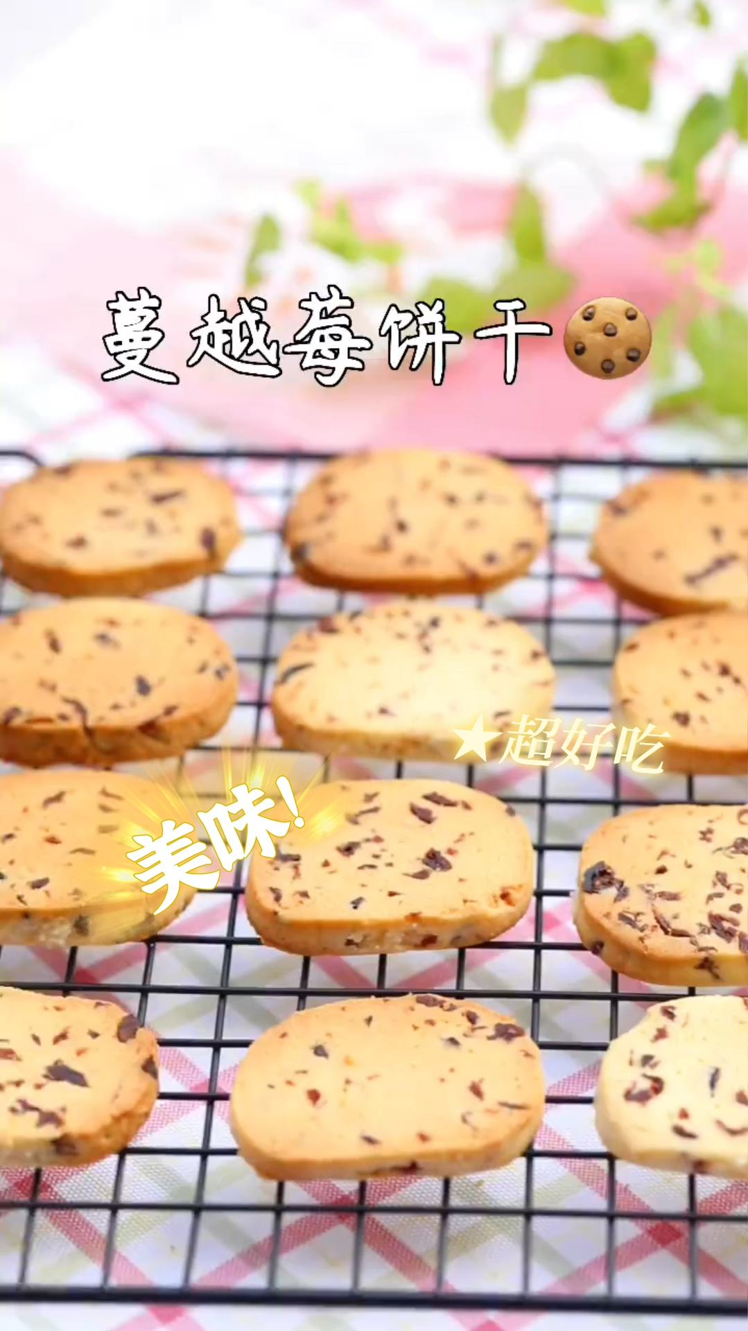 蔓越莓饼干,嘎奔脆,蔓越莓味