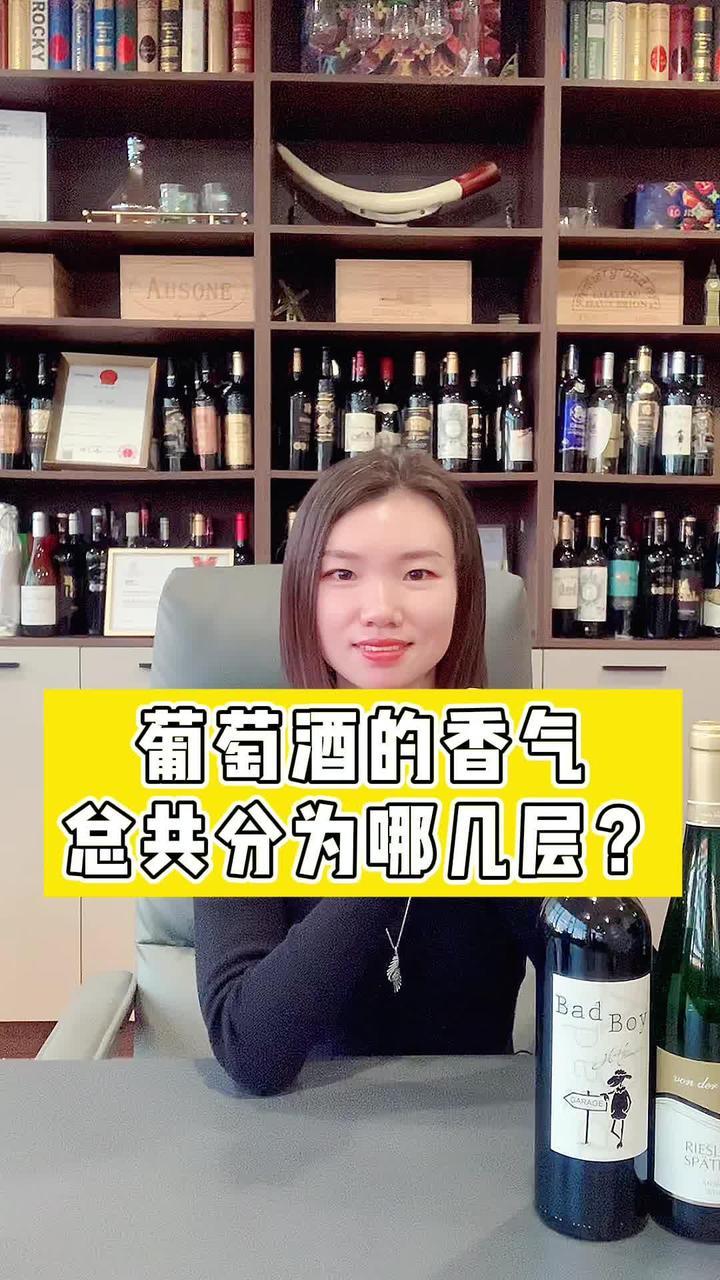 葡萄酒的香气总共分为哪几层?