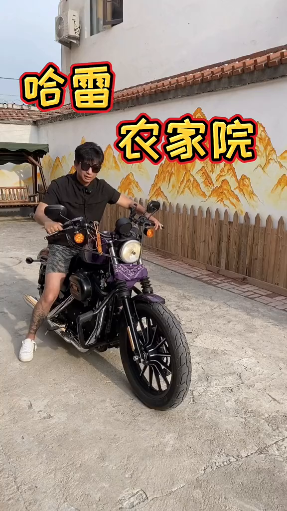 这家农家院一个月来了两次,菜品味道太赞了农家院我的幸福