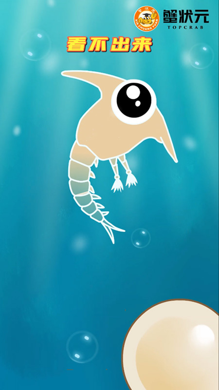 蟹状元:《大闸蟹的那些事儿》第一期——溞状幼体