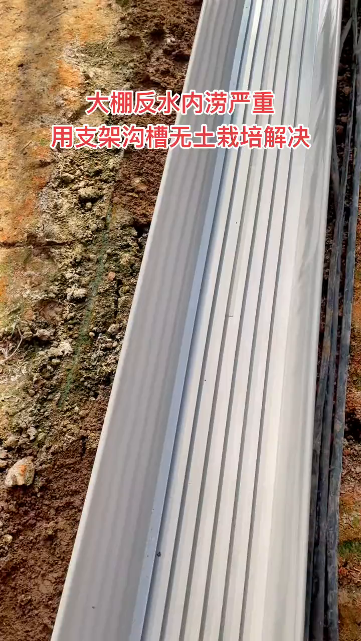 大棚内涝反水严重怎么办?无土栽培无土栽培蔬菜无土栽培