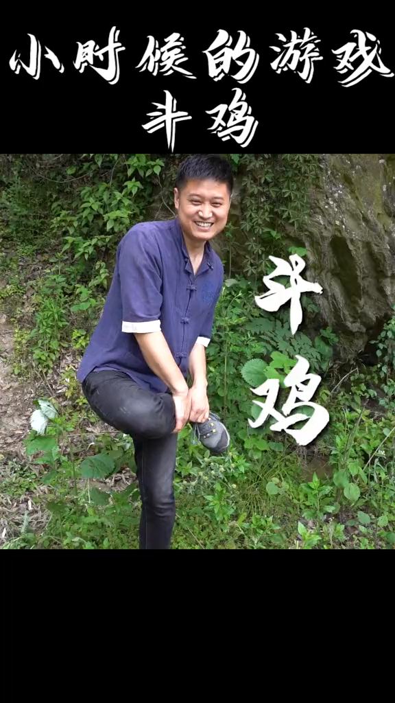童年回忆啊,你可记得斗鸡快乐童年农村科普乡村振兴dou行动
