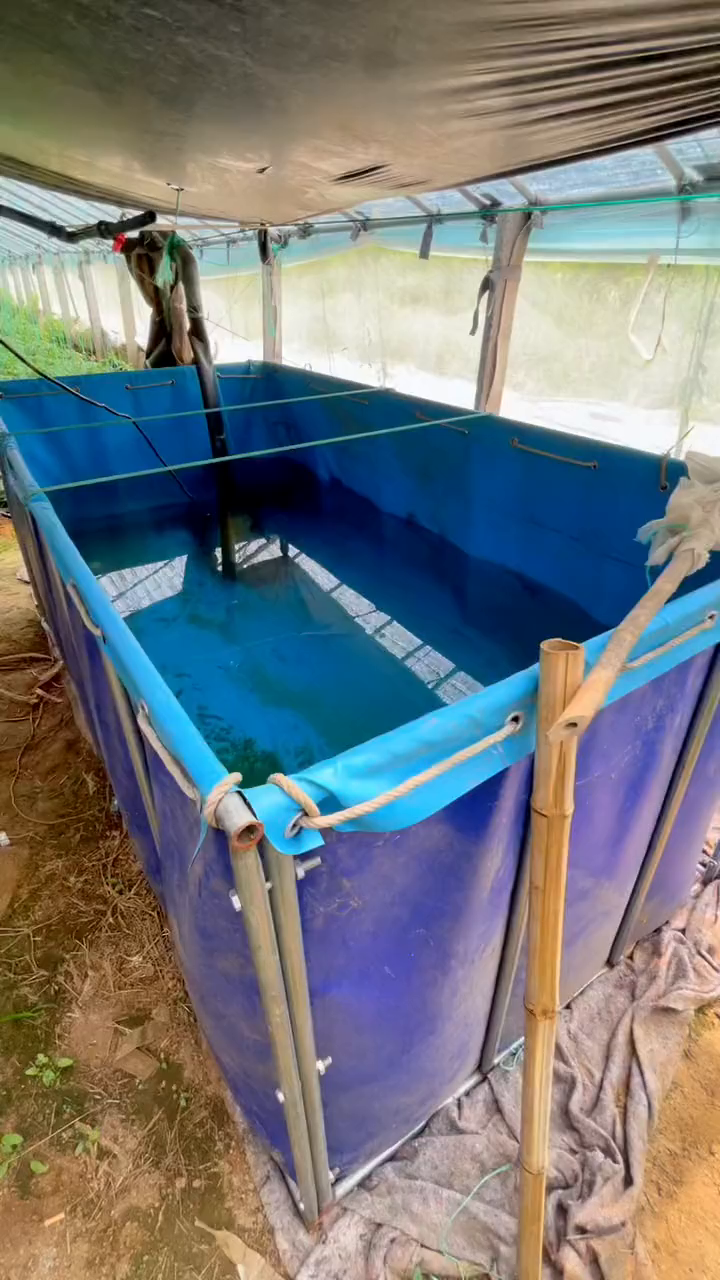 水肥一体化寿光蔬菜种植大棚无土栽培圣女果西红柿种植种植