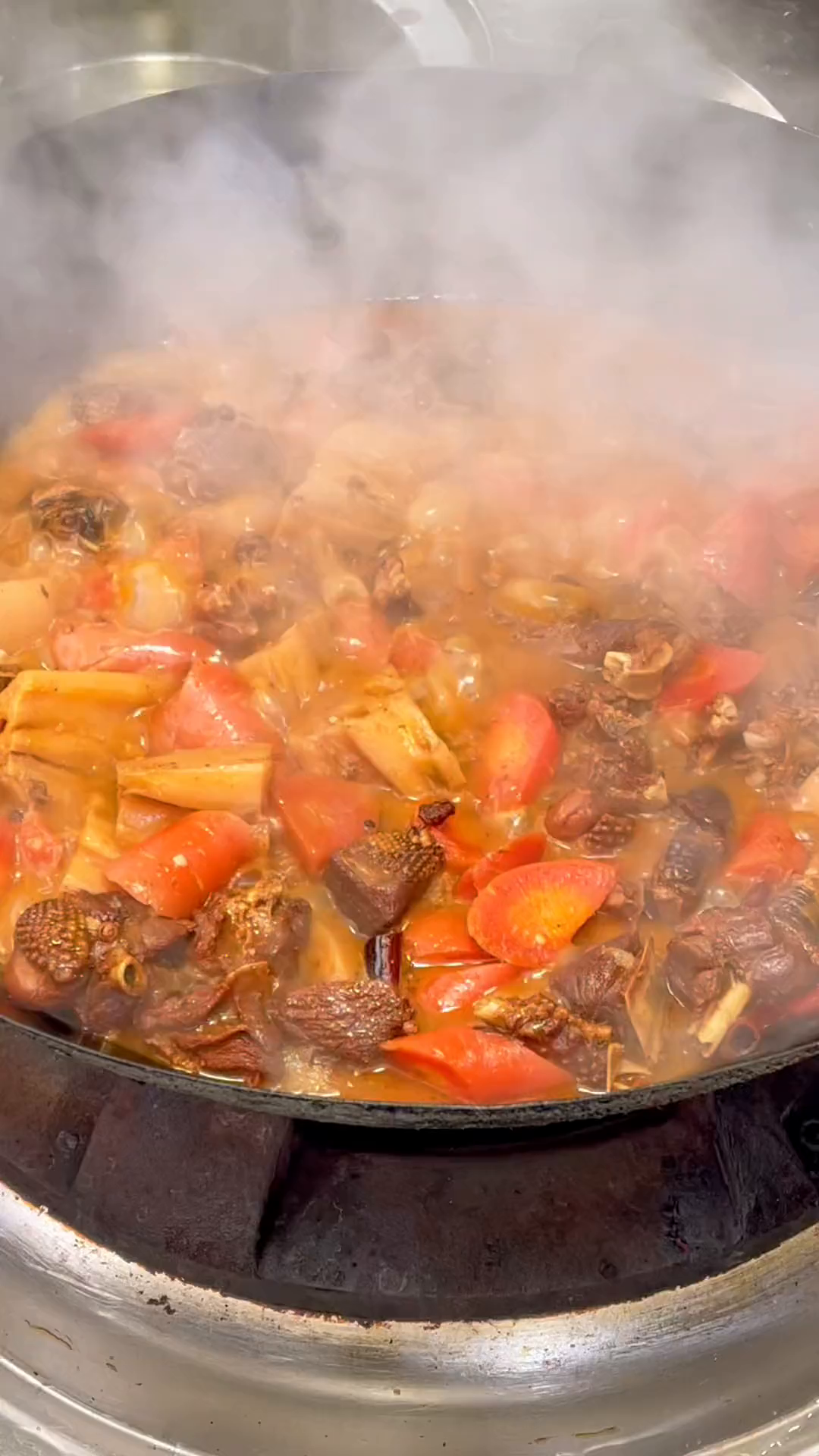 一起看看视频吧红烧鹅做法