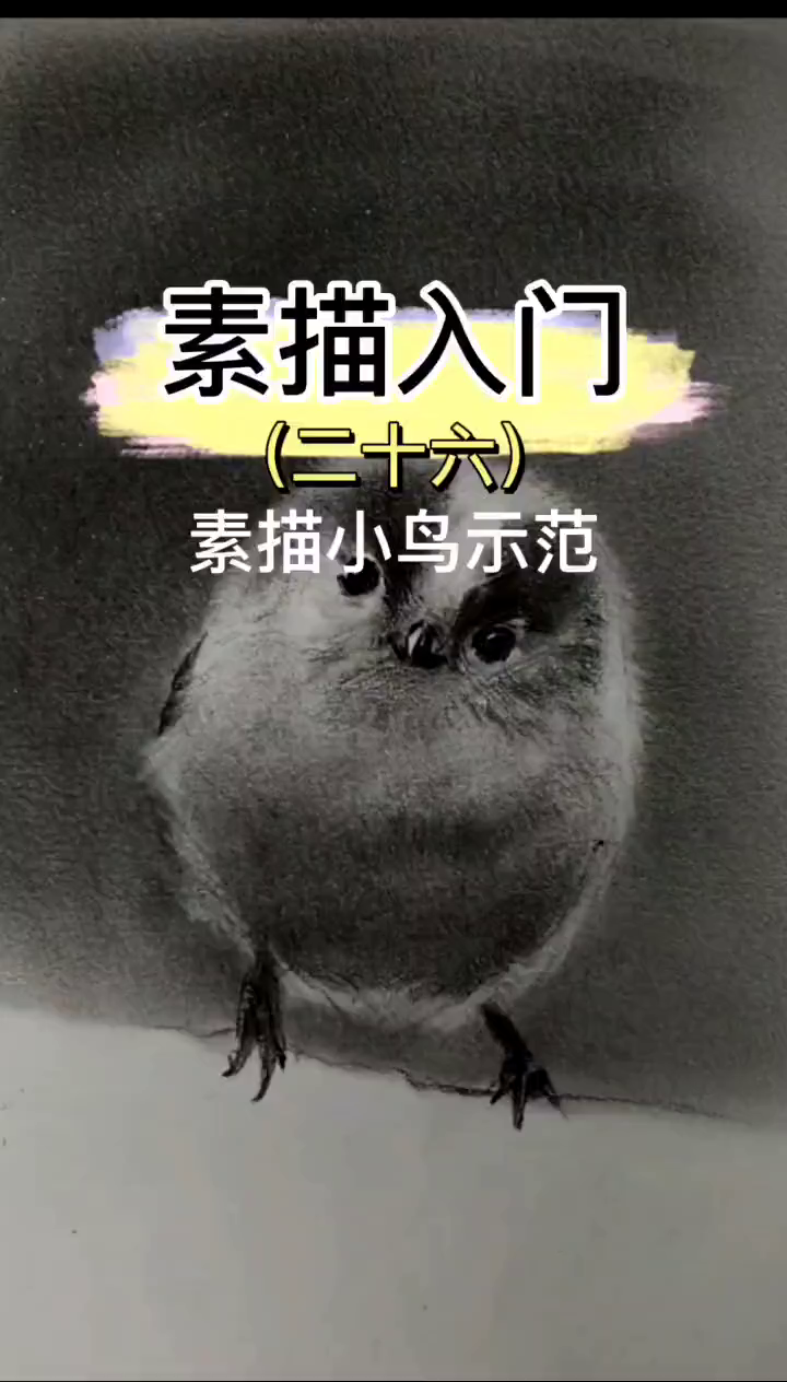 带你轻松学会素描小鸟的画法想画就画教程原创