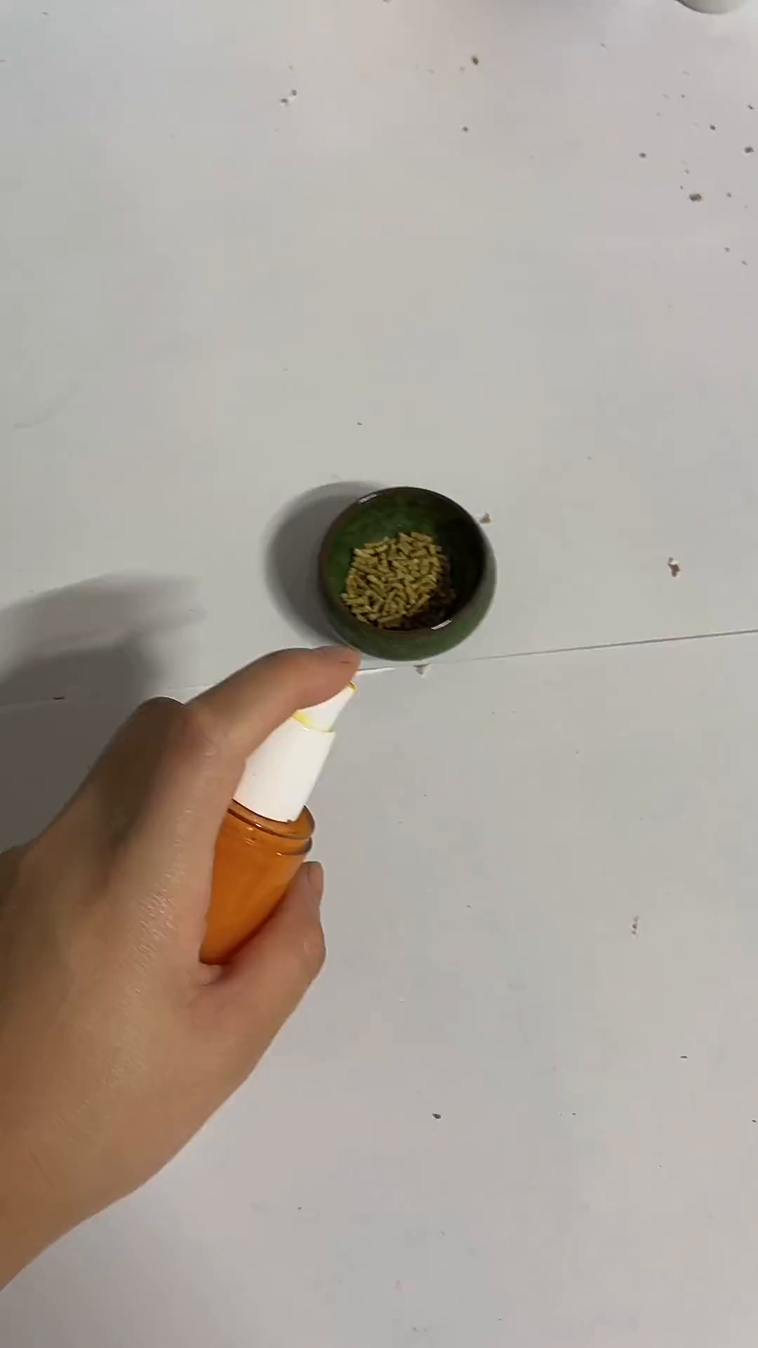 吃饱喝足就睡觉