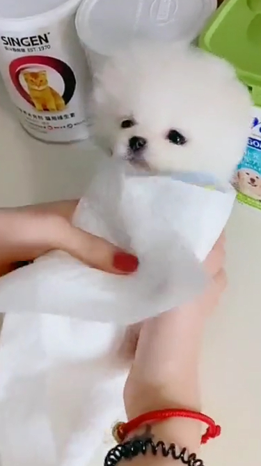 最简单的烹饪方法做最朴实的“狗肉”