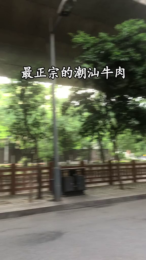潮汕火锅之一!牛肉粉好吃到爆!