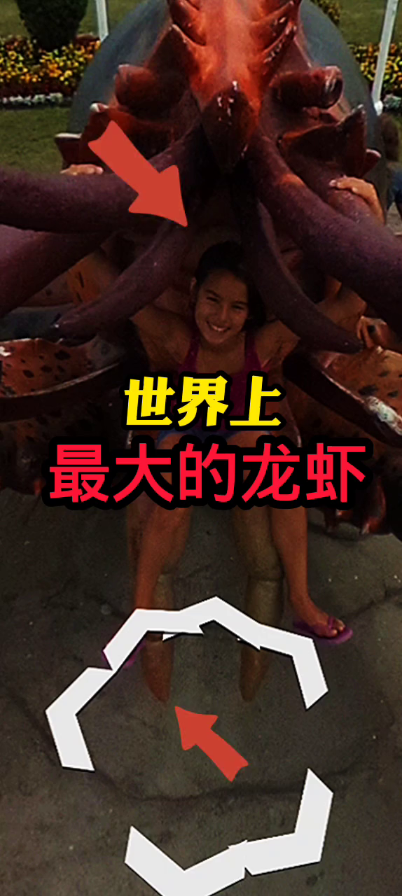 世界上最大的龙虾世界之最吉尼斯纪录大龙虾高清卫星看世界
