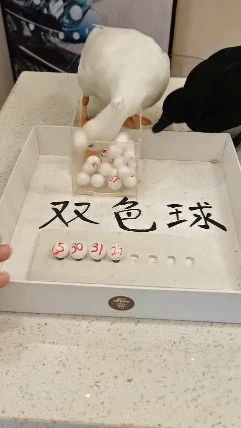 小伙子你还是放弃吧,如果双色球这样开奖的话,不知道要中多少大奖了