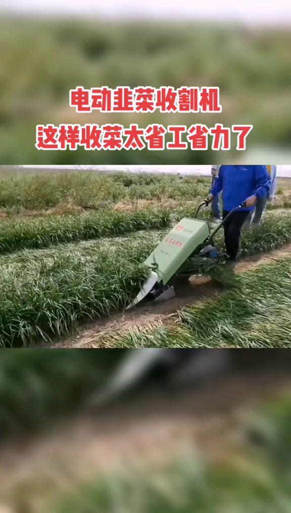 电动韭菜收割机,这种方法省工又省力