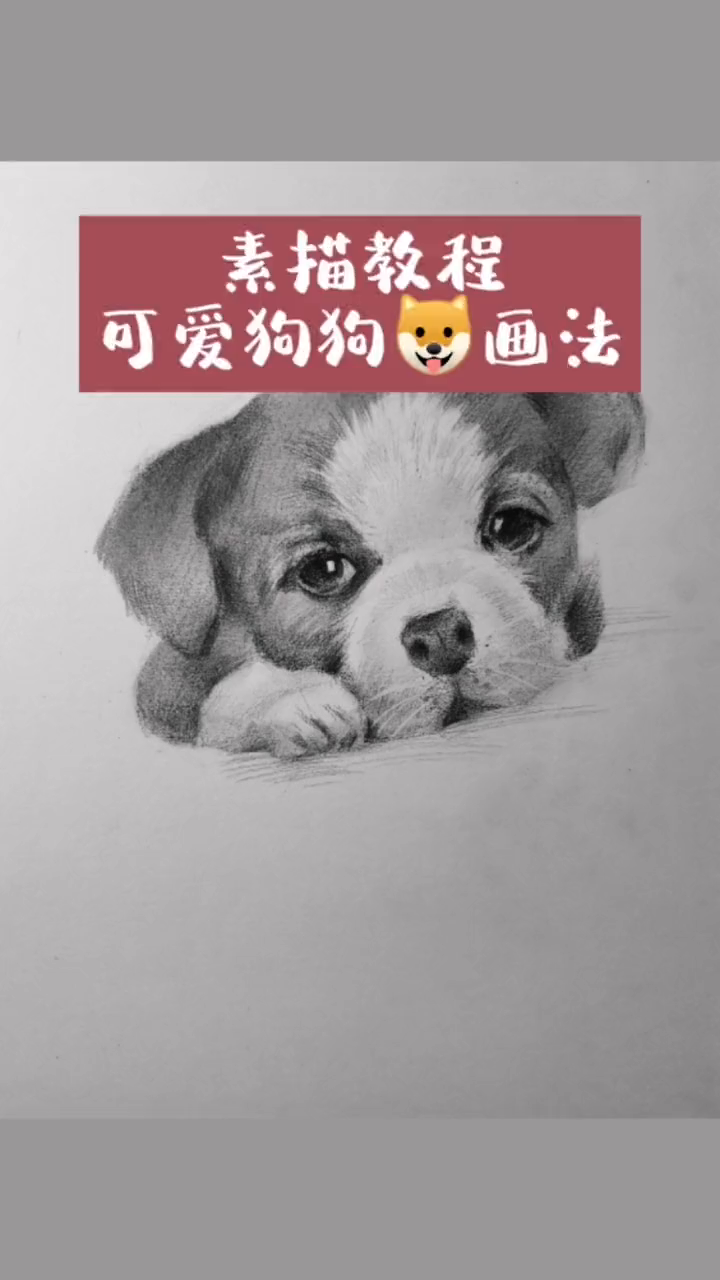 画一只可爱的小狗狗