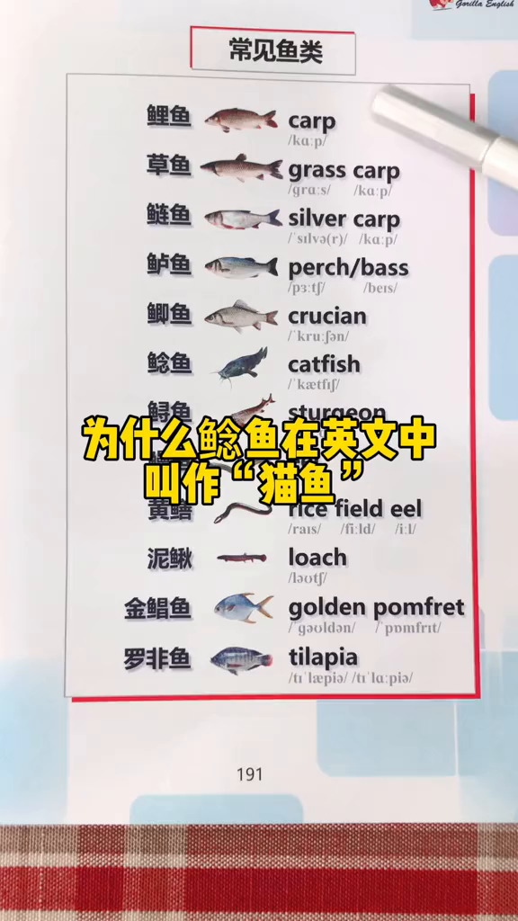 钓鱼鱼单词英语,承蒙喜欢