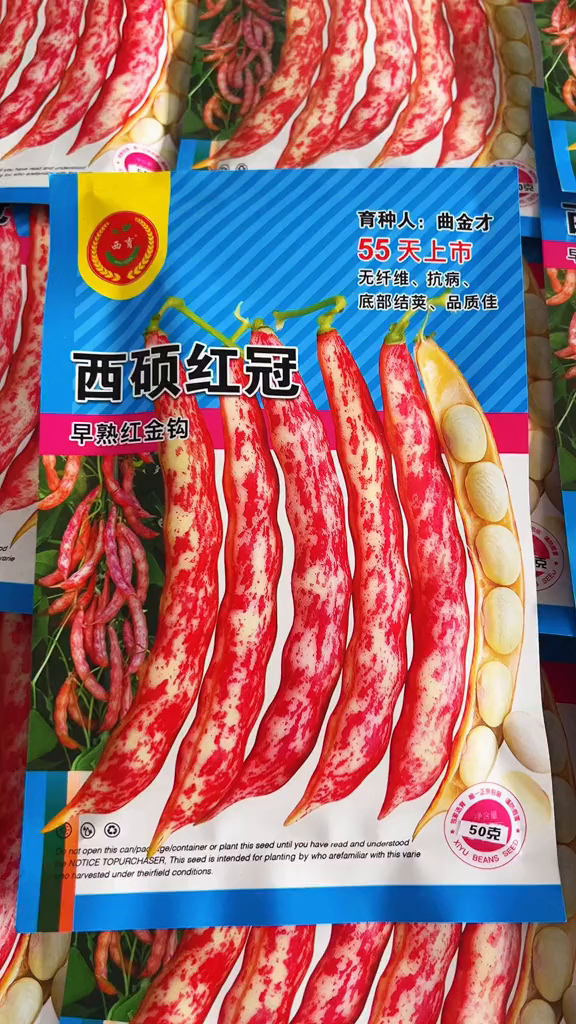 东北油豆角早熟红色金钩,面乎好吃接的厚蔬菜种子