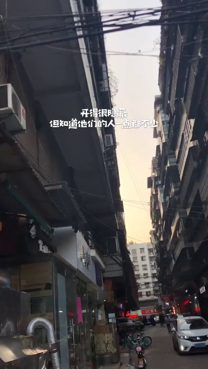 无数人吃着他的炸椰菜长大