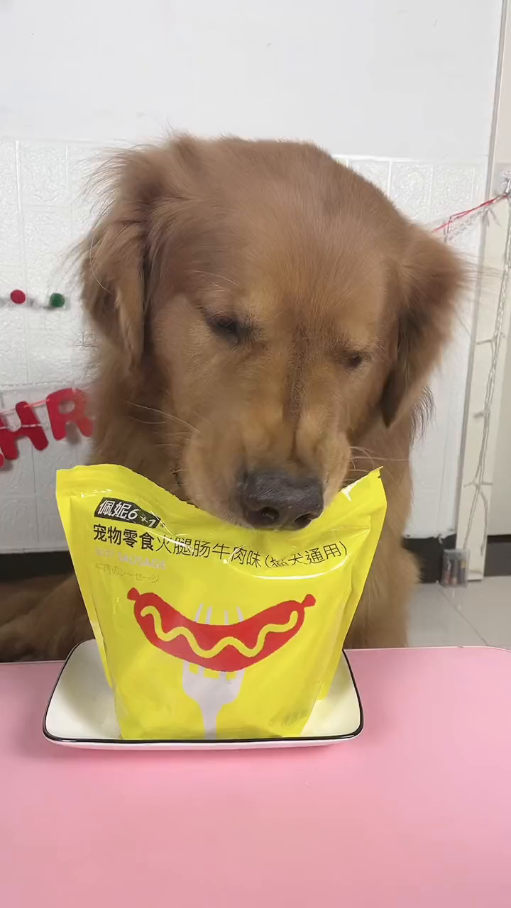 毛孩子爱吃的火腿肠,好吃不贵