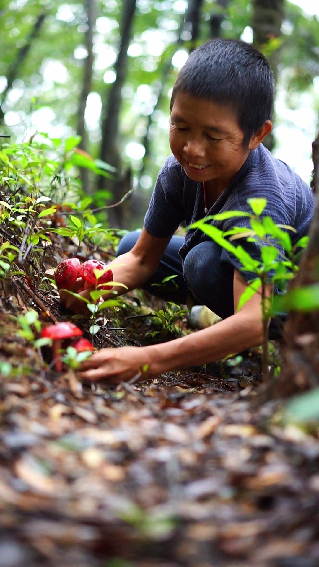 深山红菇有季期沐阳夏雨正当时,承蒙大自然厚爱,一口热汤暖心窝
