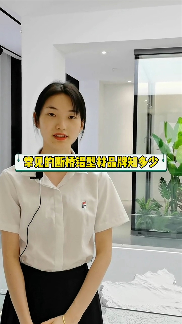 瓦瑟系统门窗攻略:常见的断桥铝型材品牌知多少!