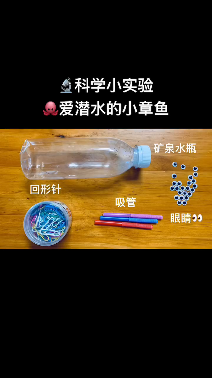 小章鱼游啊游