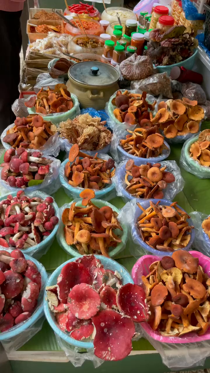 版纳的各种菌子也相继上市了,可我最爱的鸡枞菌却迟迟不见