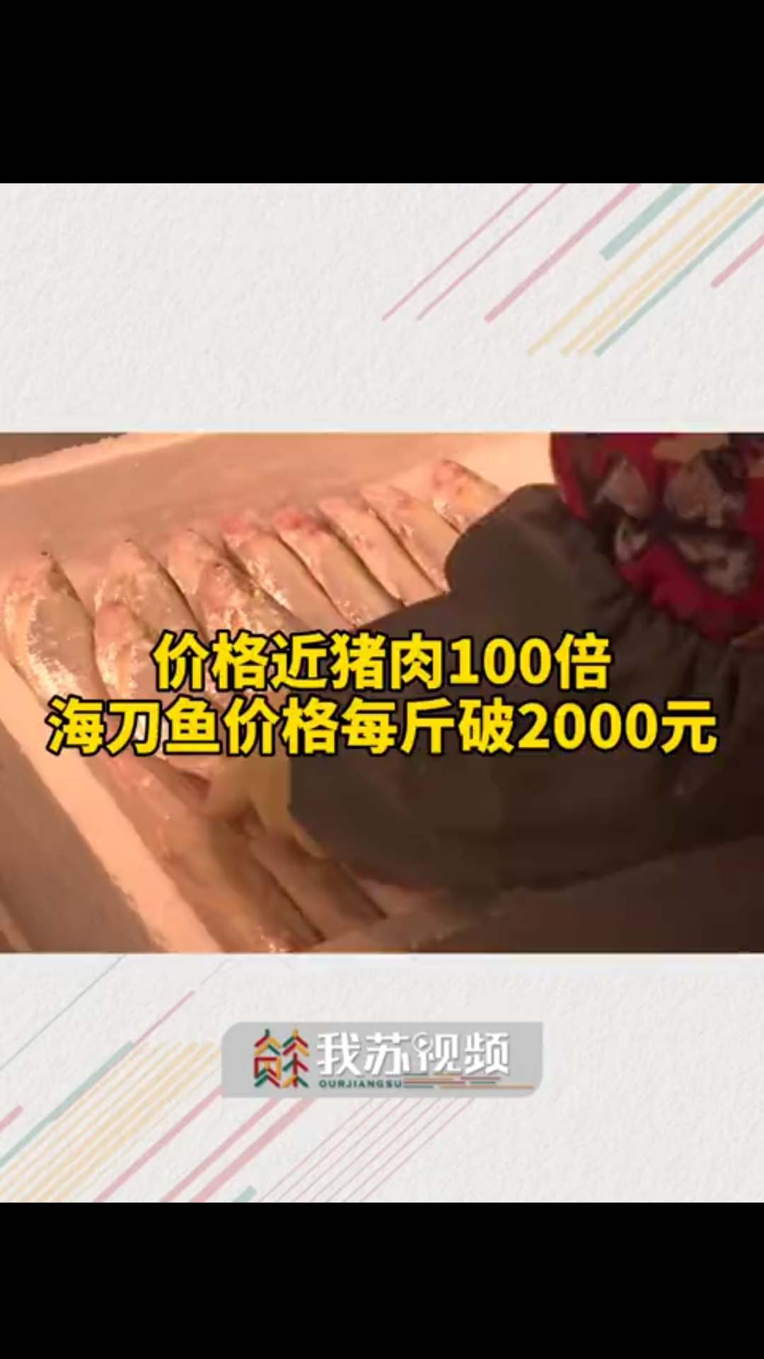 价格近猪肉的100倍!海刀鱼价格每斤破2000元