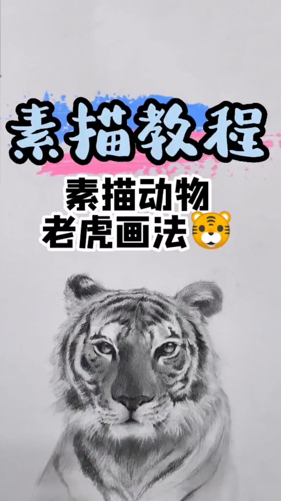 一起画一只威武霸气的大老虎!素描素描动物老虎