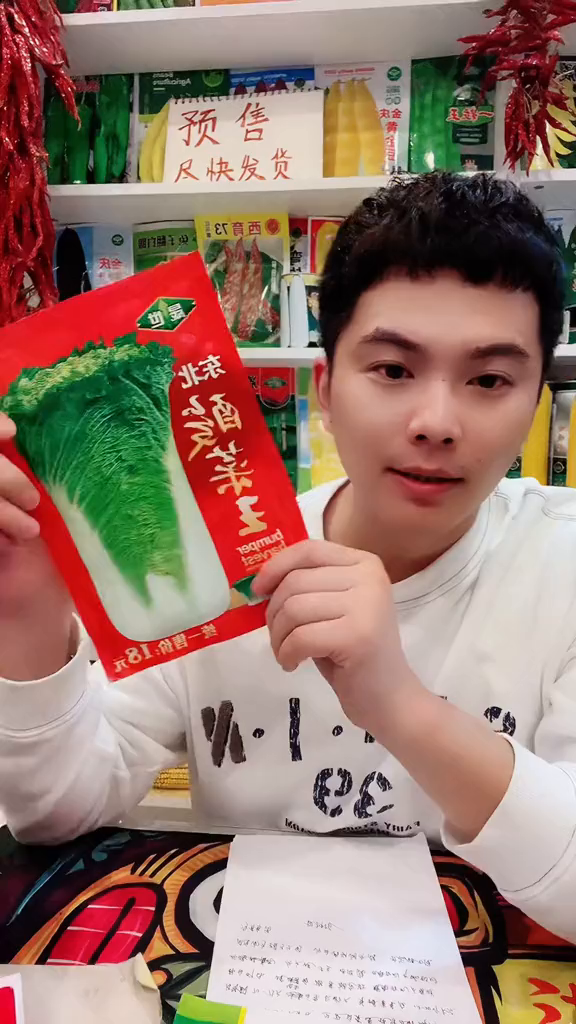 东北酸菜王大白菜优质农产品蔬菜种子