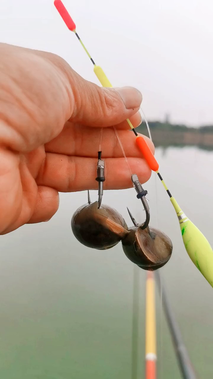 点开头像分享更多钓鱼小技巧,喜欢钓鱼的朋友双击评论调漂