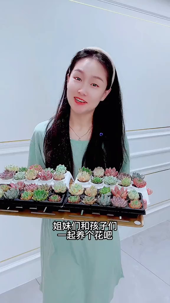 这价格也太合适了,暑假跟孩子一起养个花吧养花多肉植物