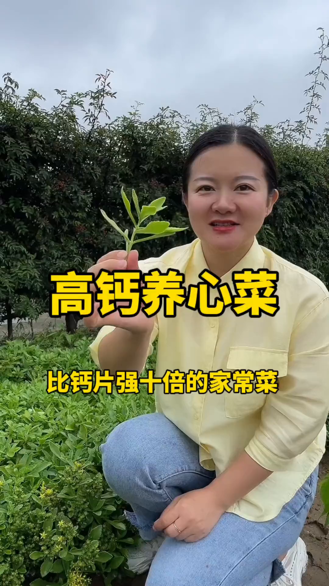 比钙片强10倍的家常菜,就是这款高钙养心菜