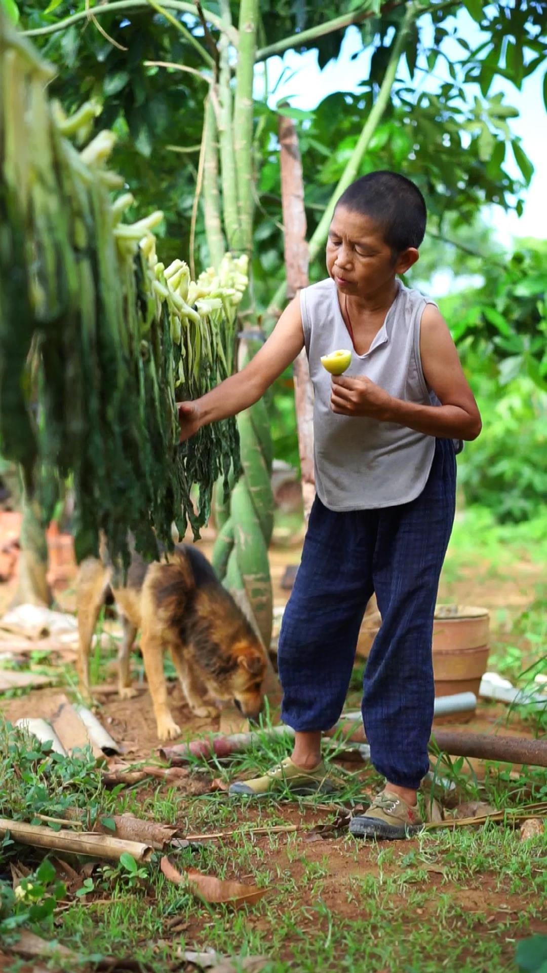 最朴素的传统工艺反复腌制晒成梅菜干,和扣肉一起蒸,又是一道美味经典