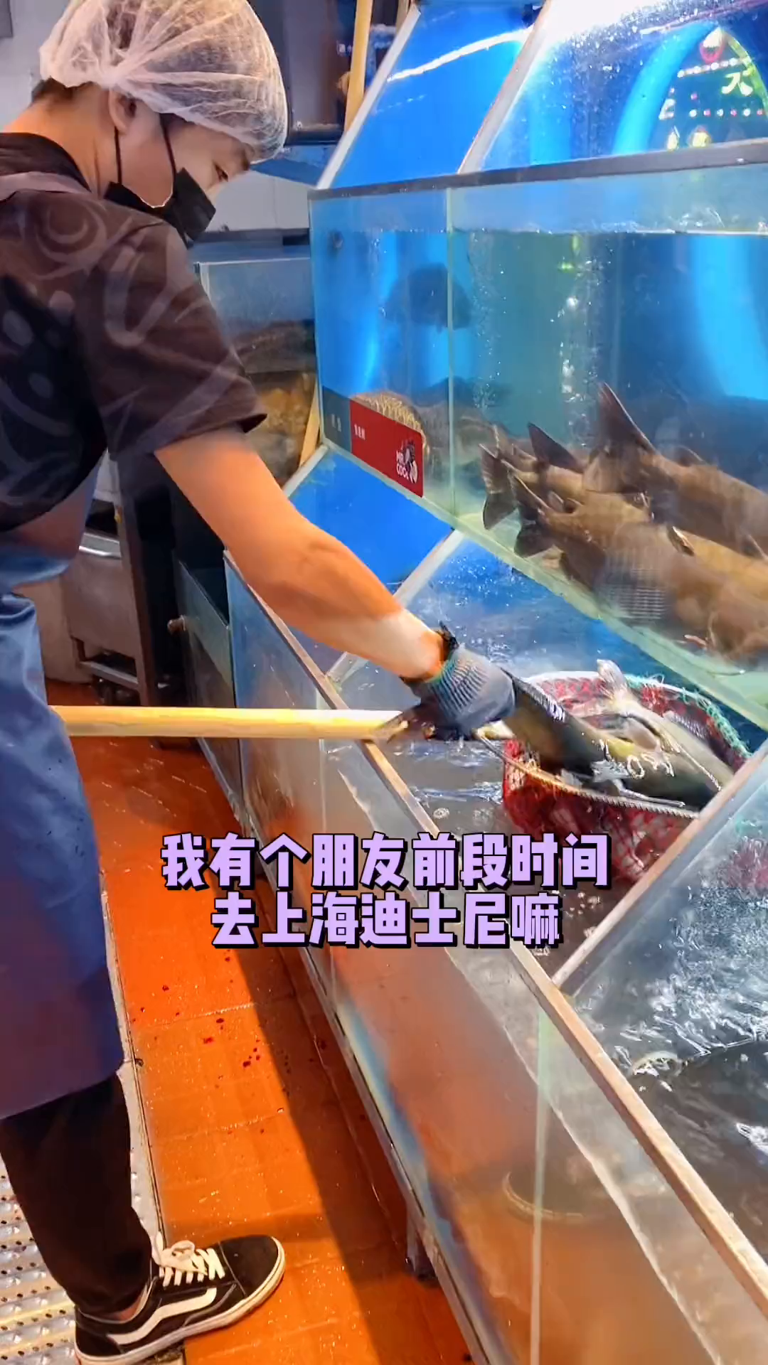 烤鱼还是鱼酷最够味,最爱荔枝香辣