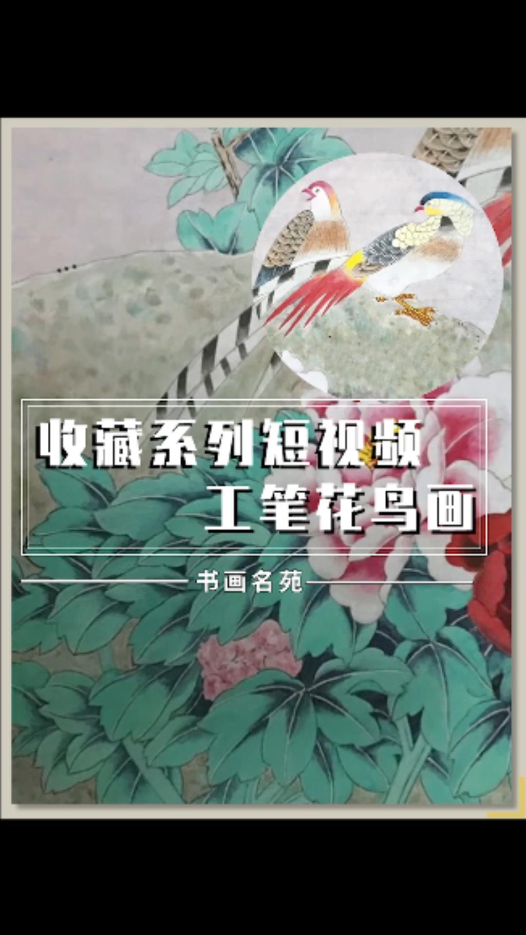 收藏系列短视频 工笔花鸟画