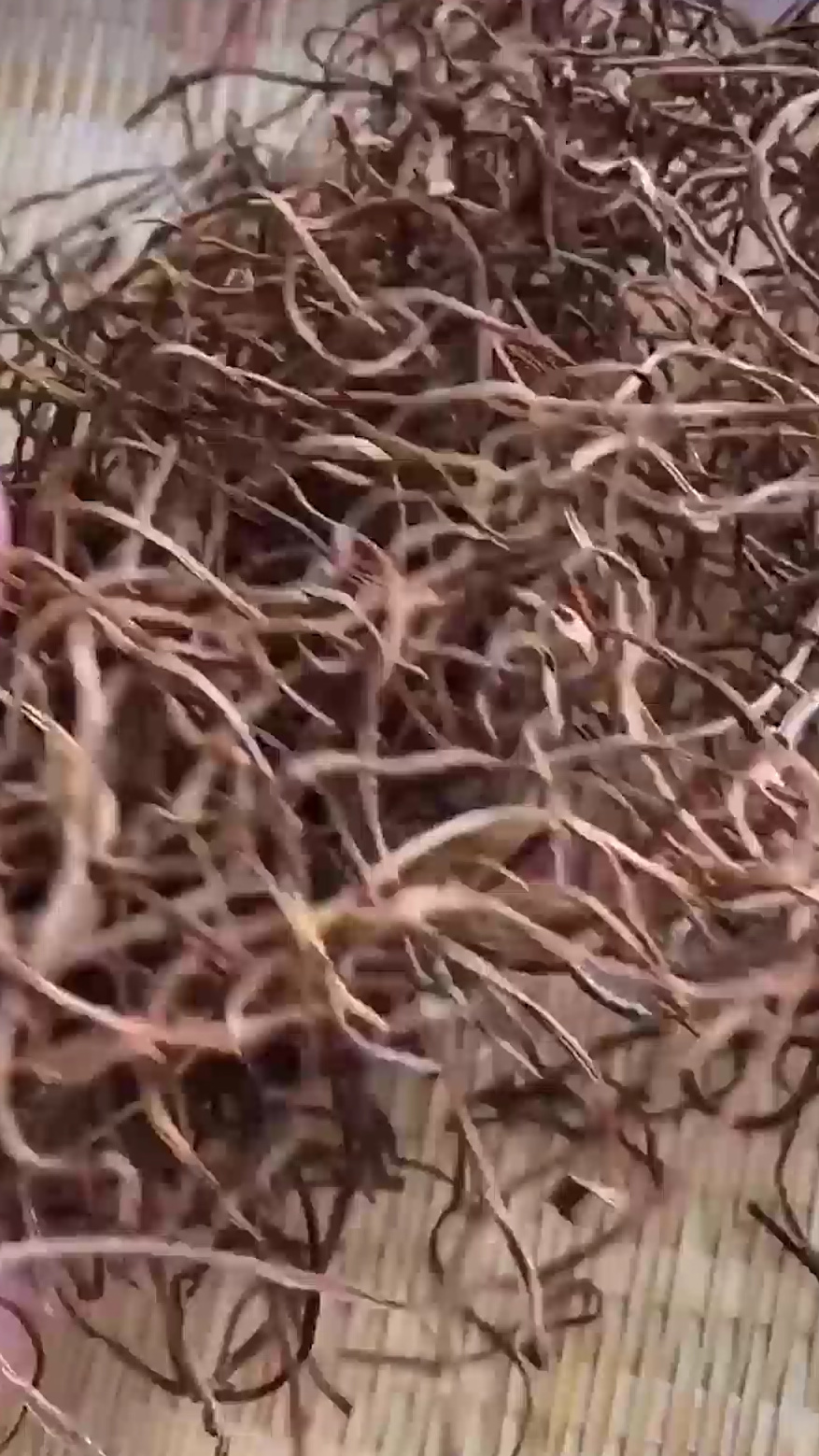 地瓜梗咸菜这样做,好吃又美味,搭配米饭一起造起来吧!