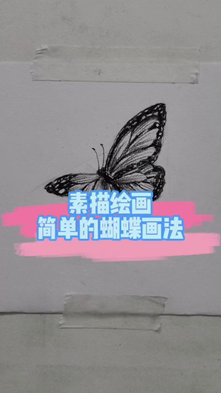 简单又好看的素描蝴蝶画法