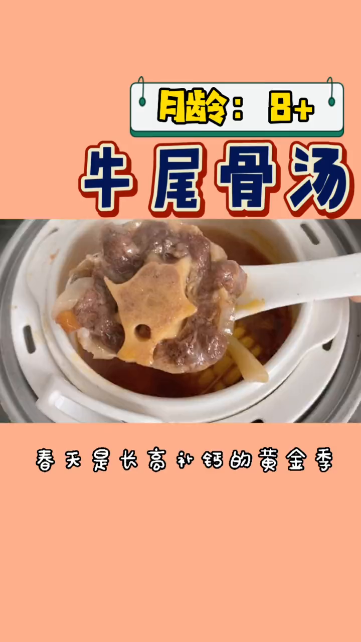 8个月就能解锁的牛尾骨汤教程