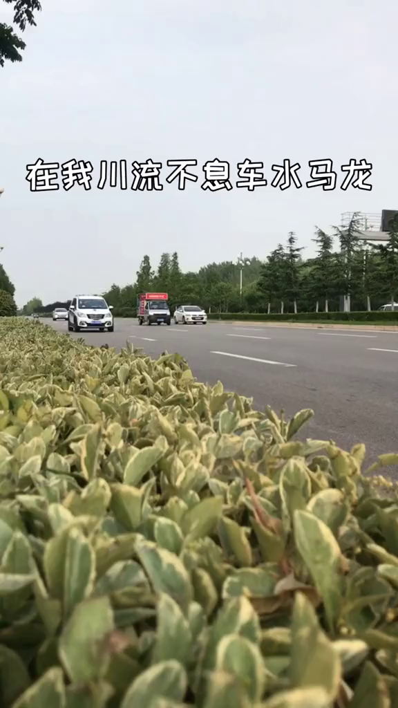 来自乡间地锅老鹅